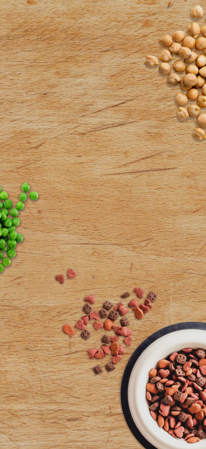 Diversified Ingredients Food Ingredient Suppliers